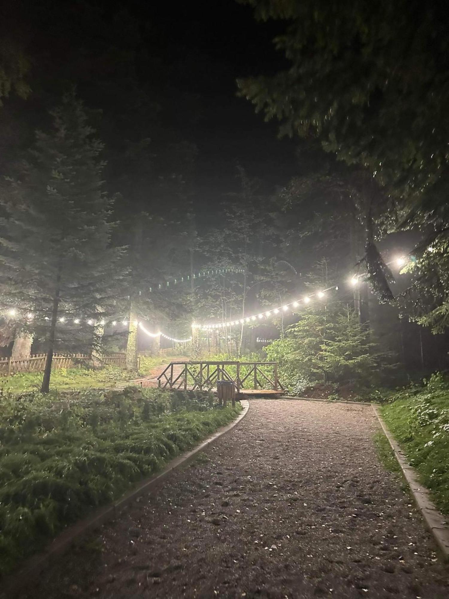 Cozy Riverside Pine Studio E5 Borovets Exterior foto